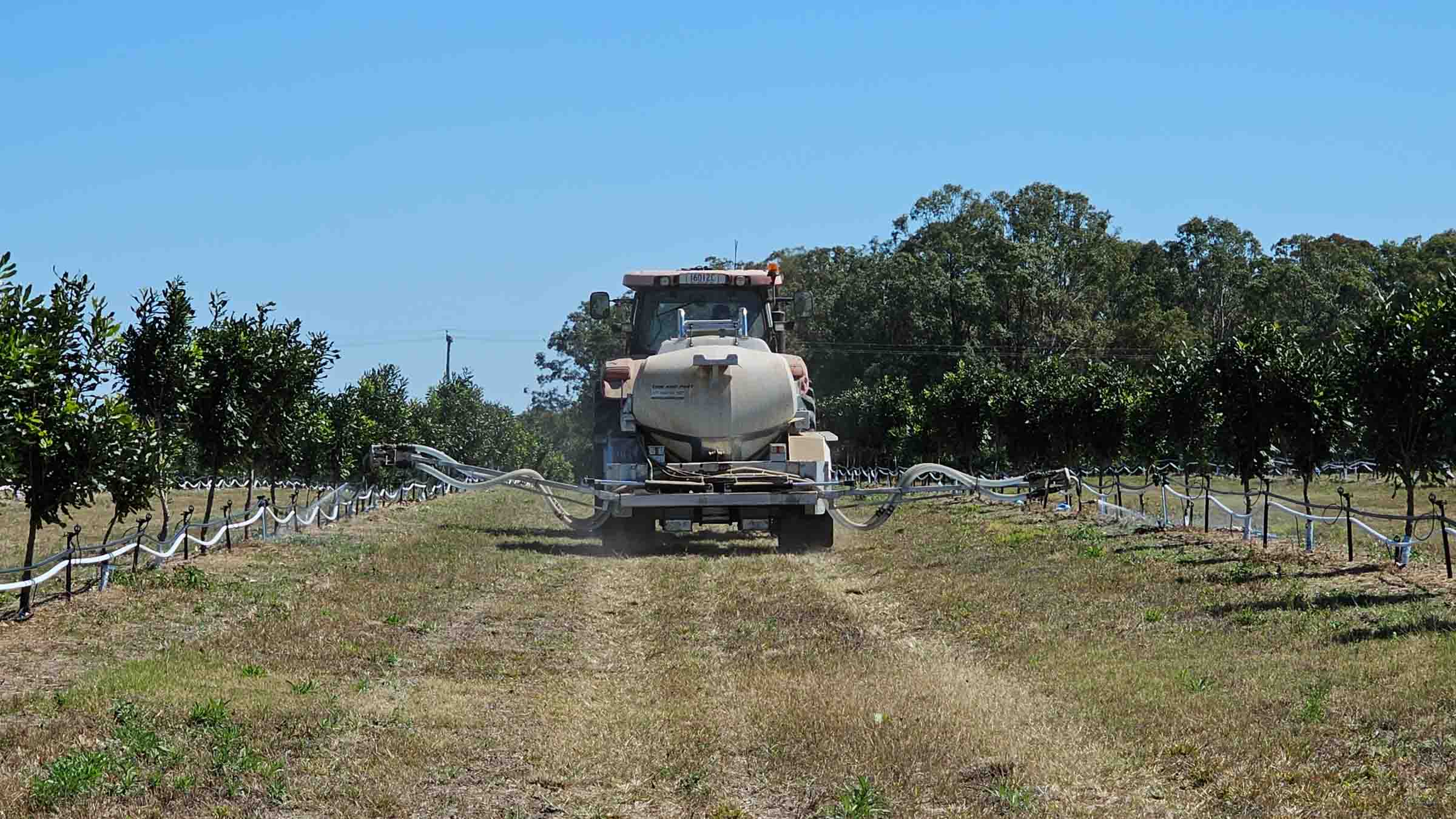 Tree Crop & Orchards