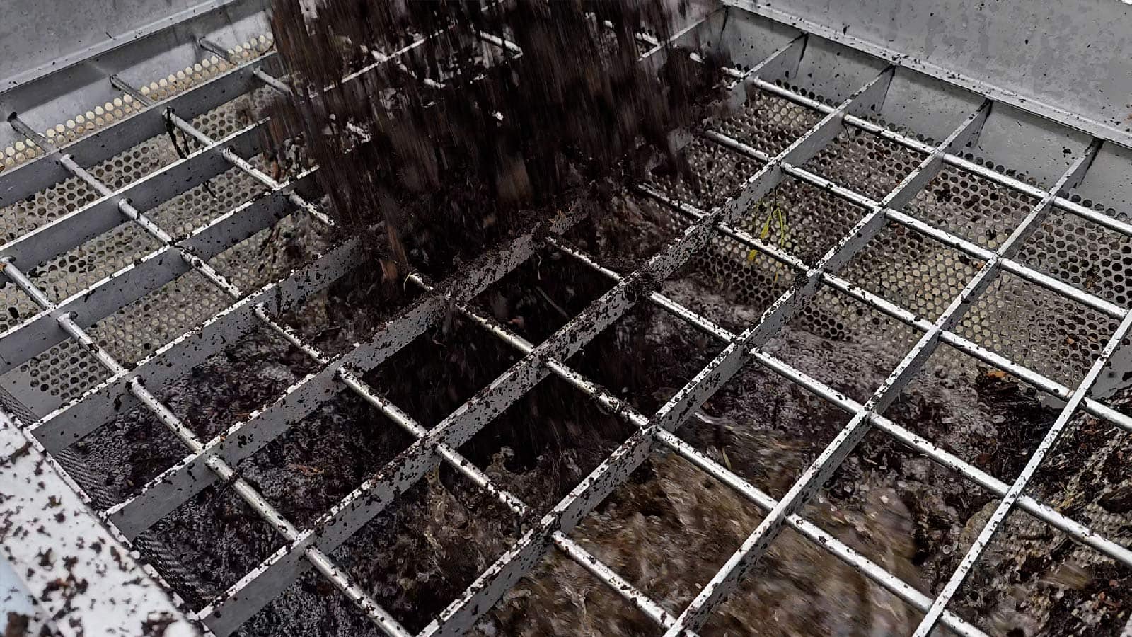 Organic & Regenerative