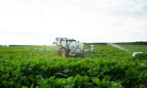 Image of Tow and Fert Spraying liquid Fert and Biologicals over Kale crop